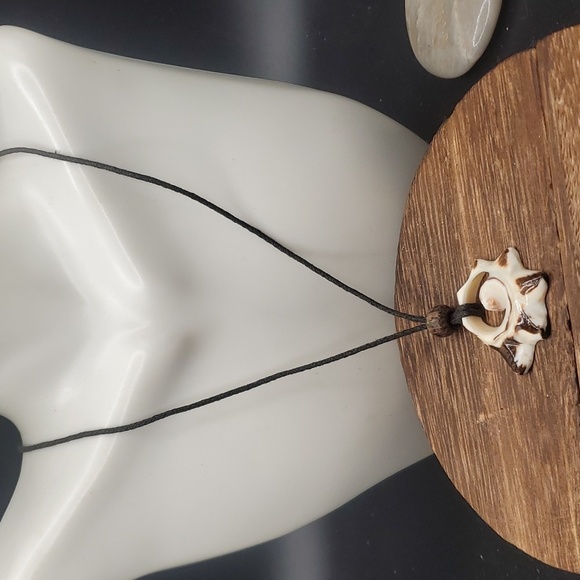 N3218 natural shell‎ necklace